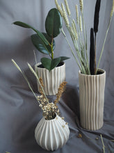 Load image into Gallery viewer, IMG_2036.JPG