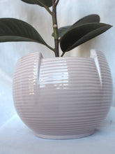 Load image into Gallery viewer, IMG_6119_edited.jpg