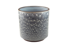 Load image into Gallery viewer, grey-speckled-pot_edited_edited.png
