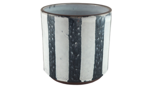 blue-white-bold-striped-pot_edited.png