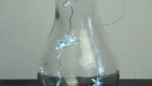 Load image into Gallery viewer, Star LED Light Bulb Lamp