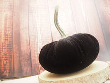 Load image into Gallery viewer, Black Velvet Handmade Pumpkin -  13cm