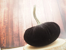 Load image into Gallery viewer, Black Velvet Handmade Pumpkin -  13cm