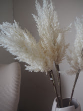 Load image into Gallery viewer, White Fluffy Faux Pampas Grass - Two Stems 88cm