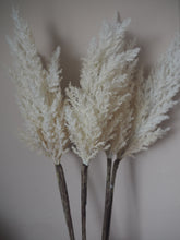 Load image into Gallery viewer, White Fluffy Faux Pampas Grass - Two Stems 88cm