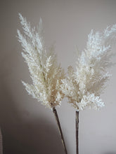 Load image into Gallery viewer, White Fluffy Faux Pampas Grass - Two Stems 88cm