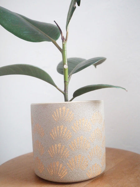Making your Home a Calmer Space