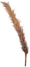 Load image into Gallery viewer, Single Stem Ombre Faux Pampas Grass - 1m
