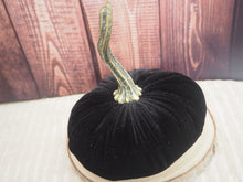 Load image into Gallery viewer, Black Velvet Handmade Pumpkin -  13cm