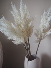 Load image into Gallery viewer, White Fluffy Faux Pampas Grass - Two Stems 88cm