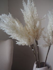 White Fluffy Faux Pampas Grass - Two Stems 88cm