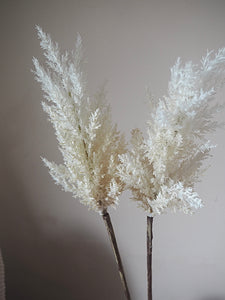 White Fluffy Faux Pampas Grass - Two Stems 88cm
